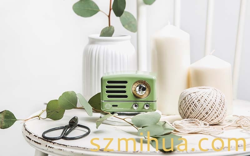 智能音箱案例